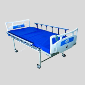 Electric Two Function Fowler Bed